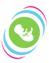 4D Ultrasound Studio